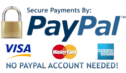 paypal-powered-we-accept-credit-card-and-paypal LPS